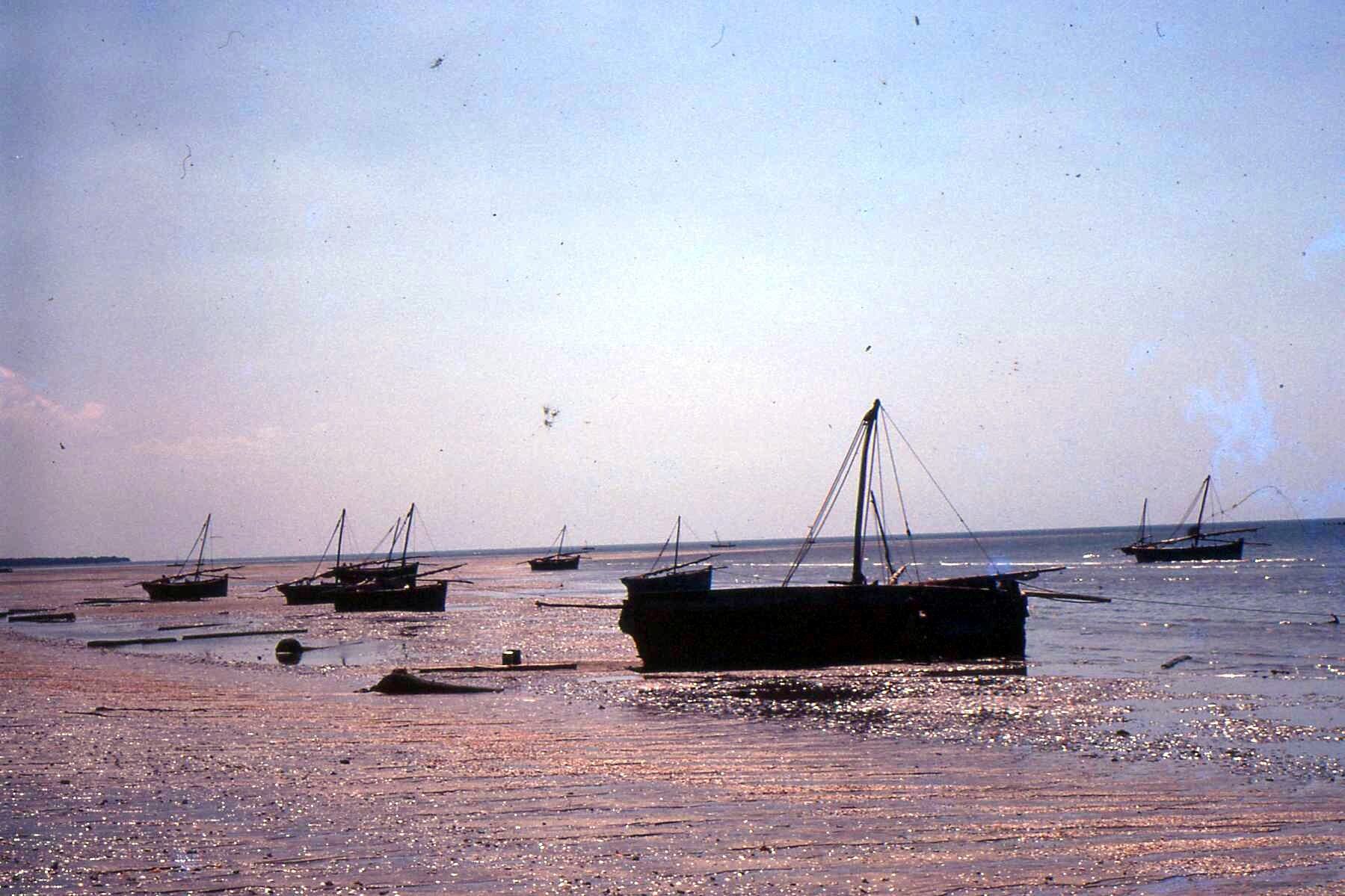 Dhows at anchor in the shallows off Bagamoyo at dusk