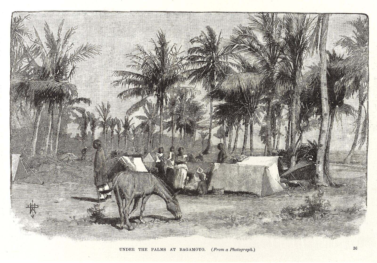 A 19th-century engraving of a caravan camp with tents and a donkey under coconut palms at Bagamoyo