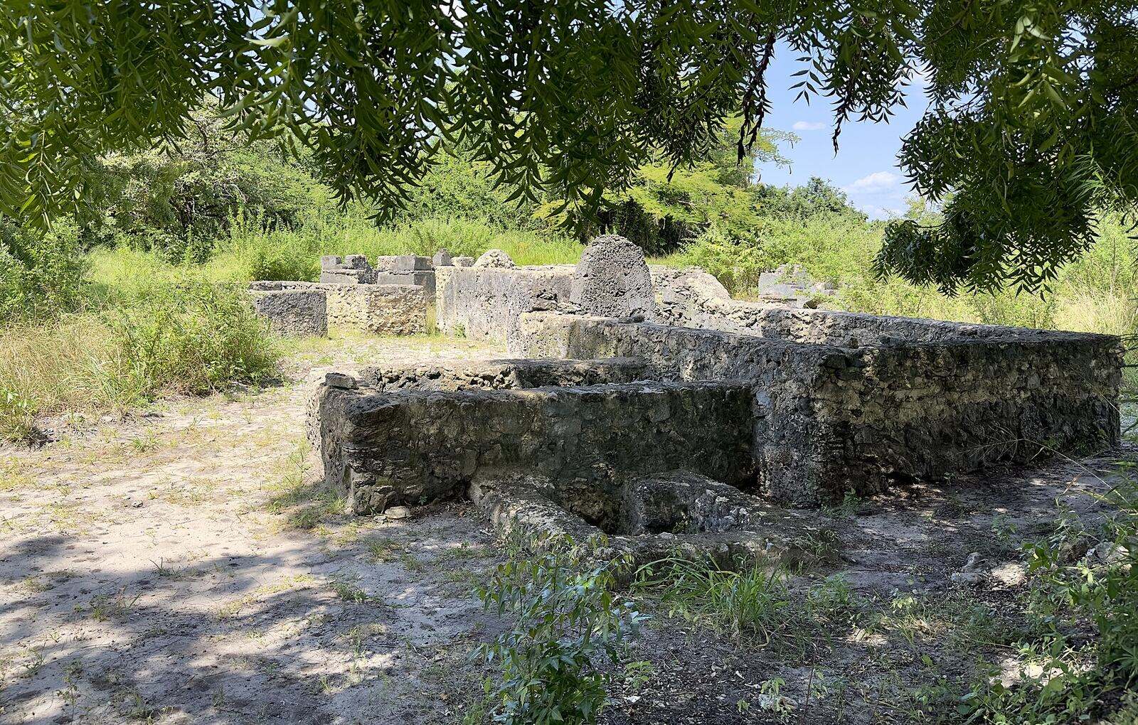 Low coral-stone tombs under trees at the Kaole ruins